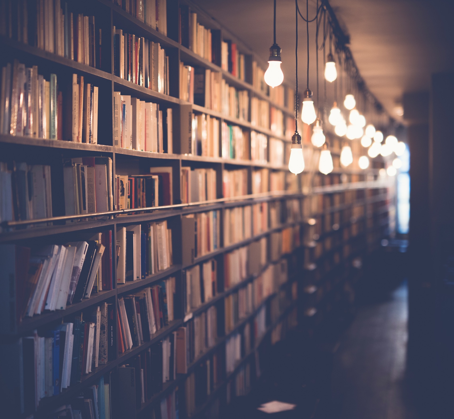 Educare background